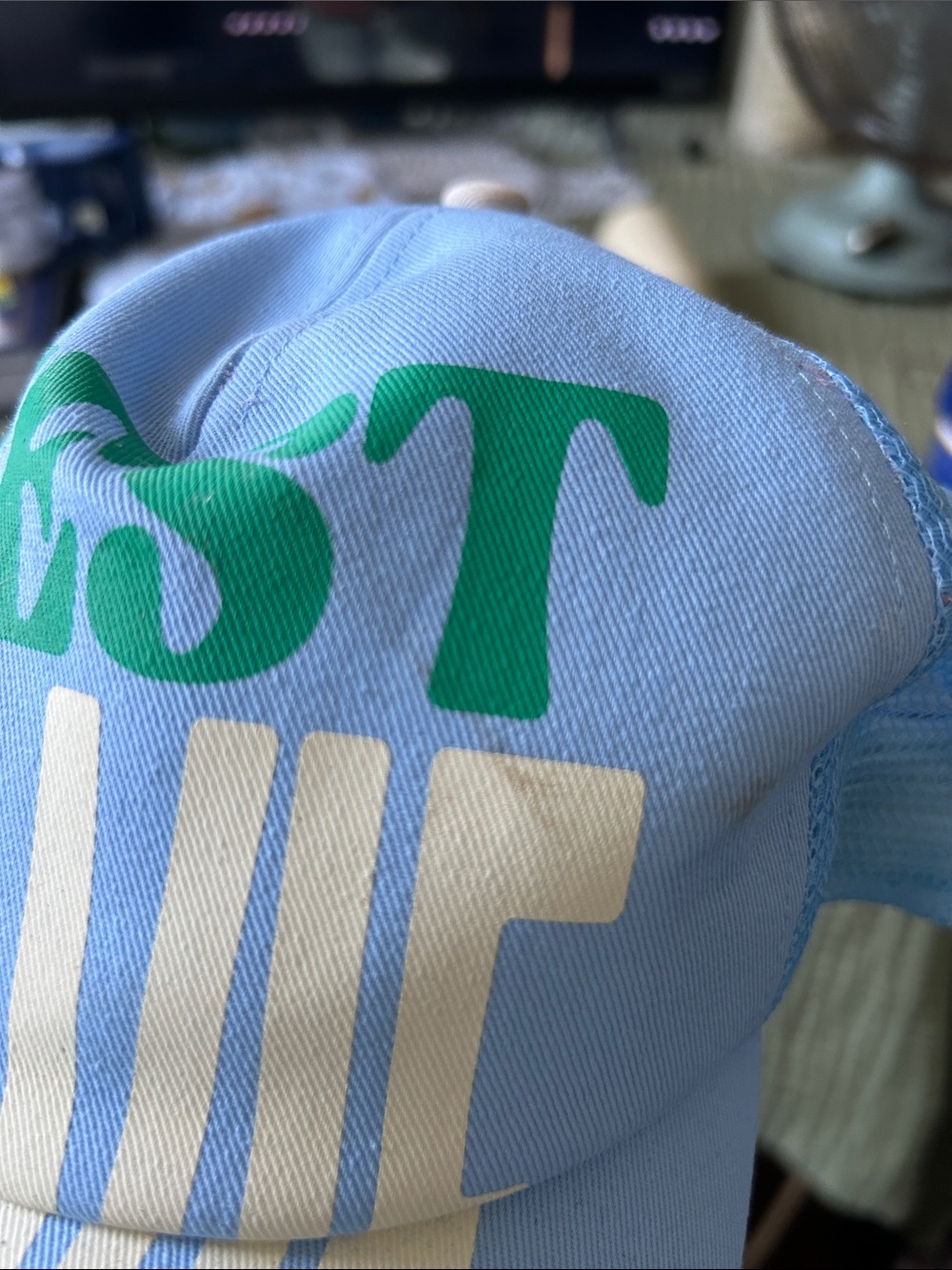 Anthropologie Light Blue 'C'EST LA VIE' Trucker Hat with Green & Cream Graphic - Picture 6 of 6